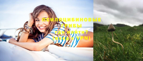 мдпв Лиски