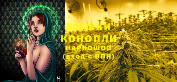 стаф Магадан
