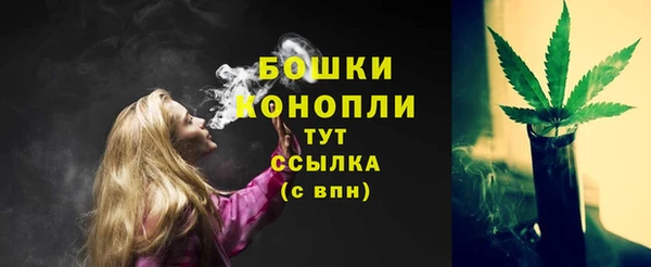 стаф Магадан