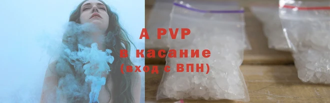 стаф Магадан