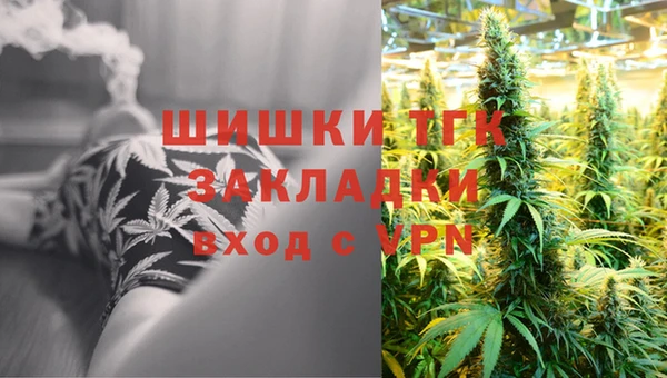 a pvp Магас