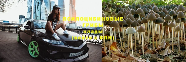 мдпв Лиски