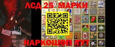 шишки Изобильный