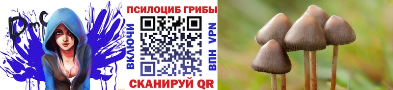 дарк нет как зайти Димитровград Галлюциногенные грибы прущие грибы